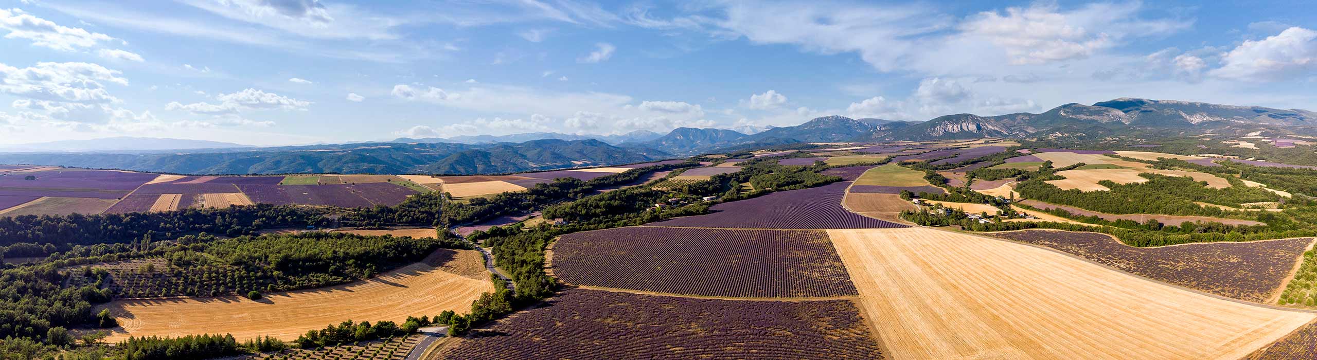 Panoramisch uitzicht op het plateau van Valensole en zijn vele lavendelvelden